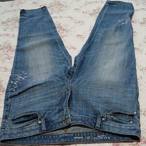 Talbots Denim Jeans with Floral Embroidery